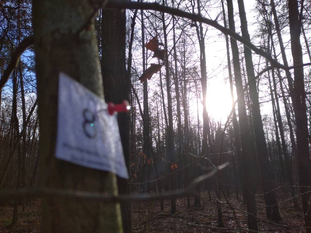 Zde by měl být obrázek