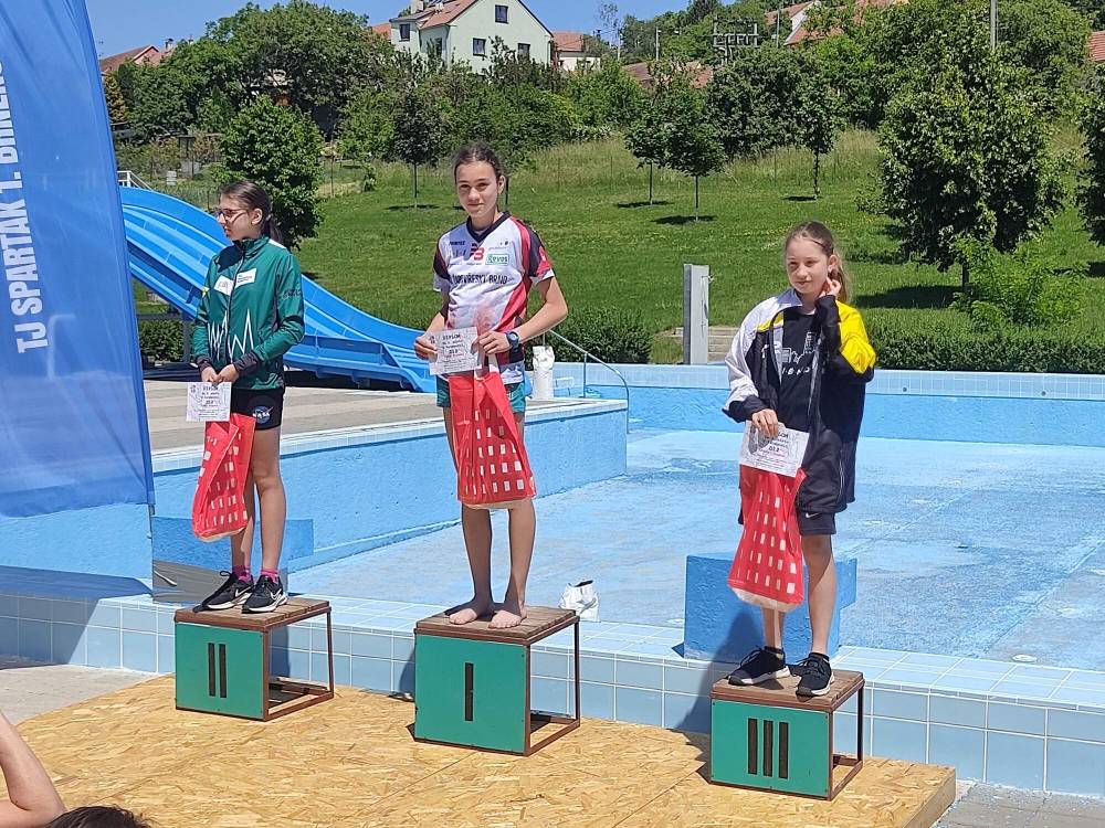 Zde by měl být obrázek